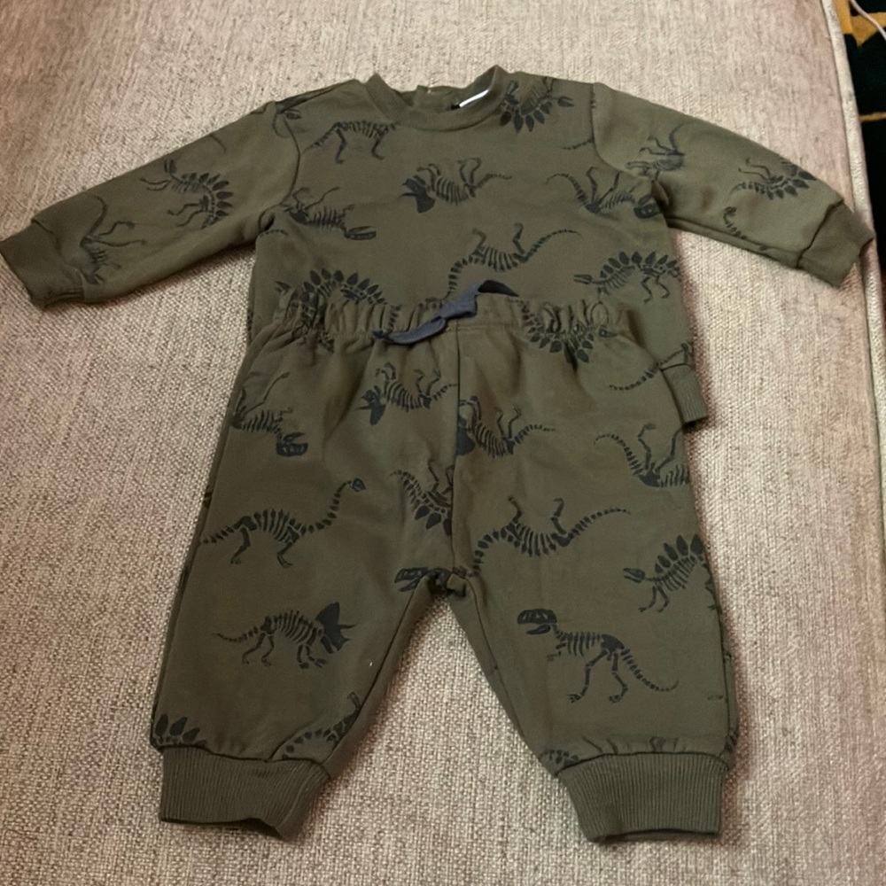 Dinosaur matching set